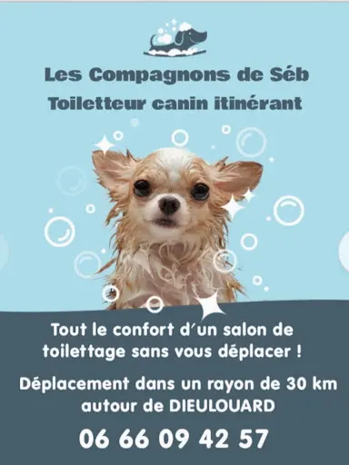Les Compagnons de Séb (toiletteur Itinérant)