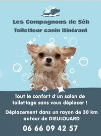 Les Compagnons de Séb (toiletteur Itinérant)
