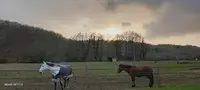 Poney Club Moulin du Got