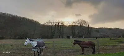 Poney Club Moulin du Got