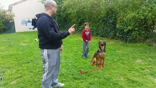 Pet S Family