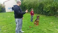 Pet S Family
