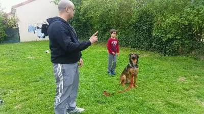 Pet S Family