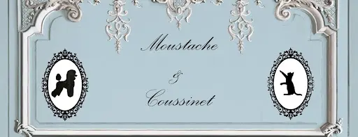 Moustache et Coussinet