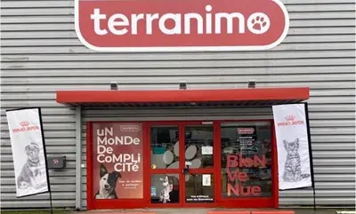 Terranimo Dizy
