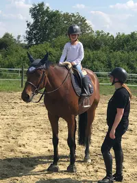 Les Ecuries de Montifray - Centre Équestre Indre et Loire (37) - Cours d'Équitation Loches