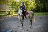 Centre Equestre - Ecuries Delight