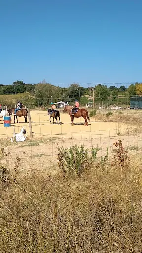 Lola S Ranch