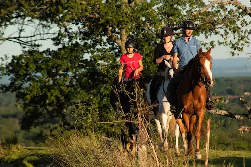 Haras Vie Passion