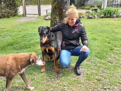 Éducateur Canin Comportementaliste Dresseur Mangeolle Pauline