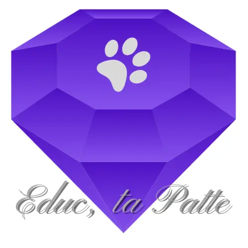 Educ, Ta Patte