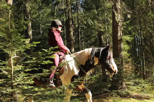 Les Chevaux de Capucine
