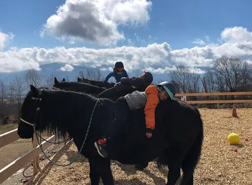 Nevada Mountain Paddock