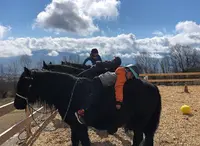 Nevada Mountain Paddock
