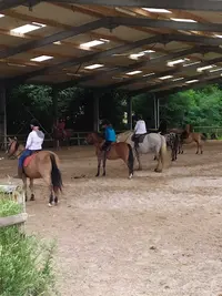 Centre Équestre Poney-club de Douarnenez