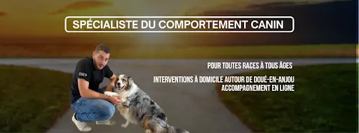Éduc Anjou - Éducateur Comportementaliste Canin À Domicile (49)