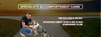 Éduc Anjou - Éducateur Comportementaliste Canin À Domicile (49)