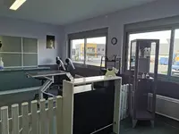 Osté Or
