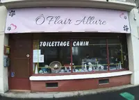 Õ Flair Allure