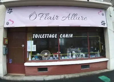 Õ Flair Allure