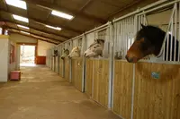 Manege de la Tuilerie