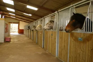 Manege de la Tuilerie