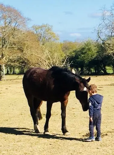 Bérénice - Equithérapie & Equitation Adaptée Normandie (50)