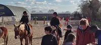 Poney Club Dragey Ronthon