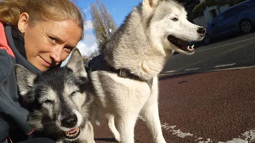 Malvina - Zen Avec Mon Chien