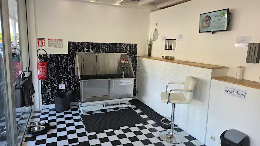 Wash Animal