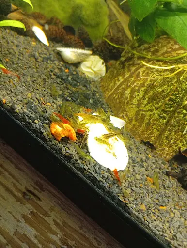Aquabiotix