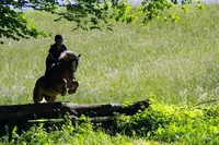 Centre Equestre l'Etalon