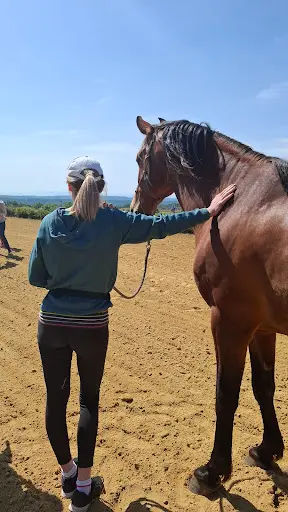 Haras de la Cambre