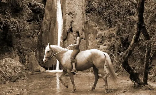 Equiterre