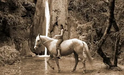 Equiterre