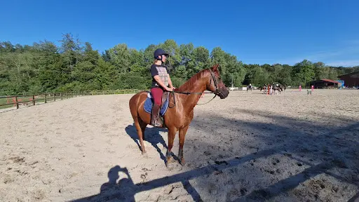 Ac Equitation