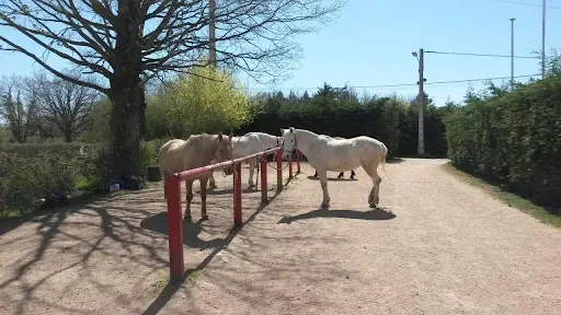 Hippocampe H Val, Ecurie de Propriétaire