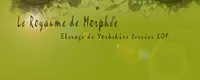 Royaume de Morphée, Élevage de Yorkshire Terrier