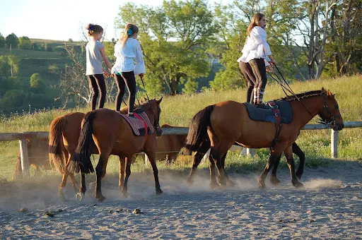 Centre Equestre Equi Ose