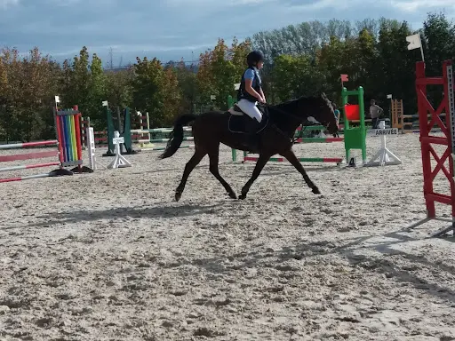 Club Hippique Hippos