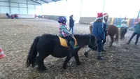 Ayoul Melanie