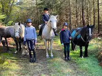Les Crinières d'Ecouves