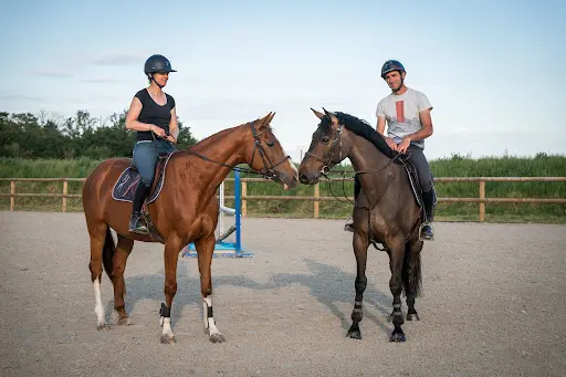 Haras du Trèfle Blanc