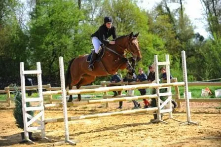 Centre Equestre de la Fregonniere