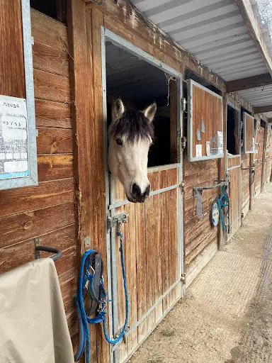 Centre Équestre le Haras des Oliviers