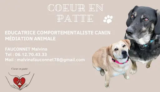 Coeur en Patte