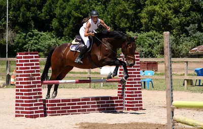 Equi-gym