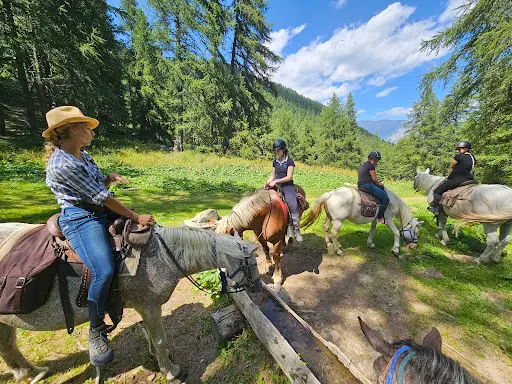Les Chevaux du Mont Guillaume