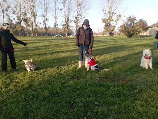 Club Éducation Canine d'Emiéville
