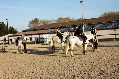 Haras de la Canteraine